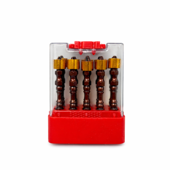 Magnetinių atsuktuvų antgalių rinkinys DaoLong DO-28, S2 plienas, 10 vnt.