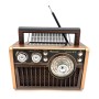 Radijas RX-2511BTS RuiXuan su FM/AM/SW bangomis, Bluetooth, USB, TF, Type-C ir saulės įkrovimo panelėmis