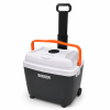 Automobilinis šaldytuvas-šildytuvas BOXER BX-3281, 32 l, 12 V / 220–240 V