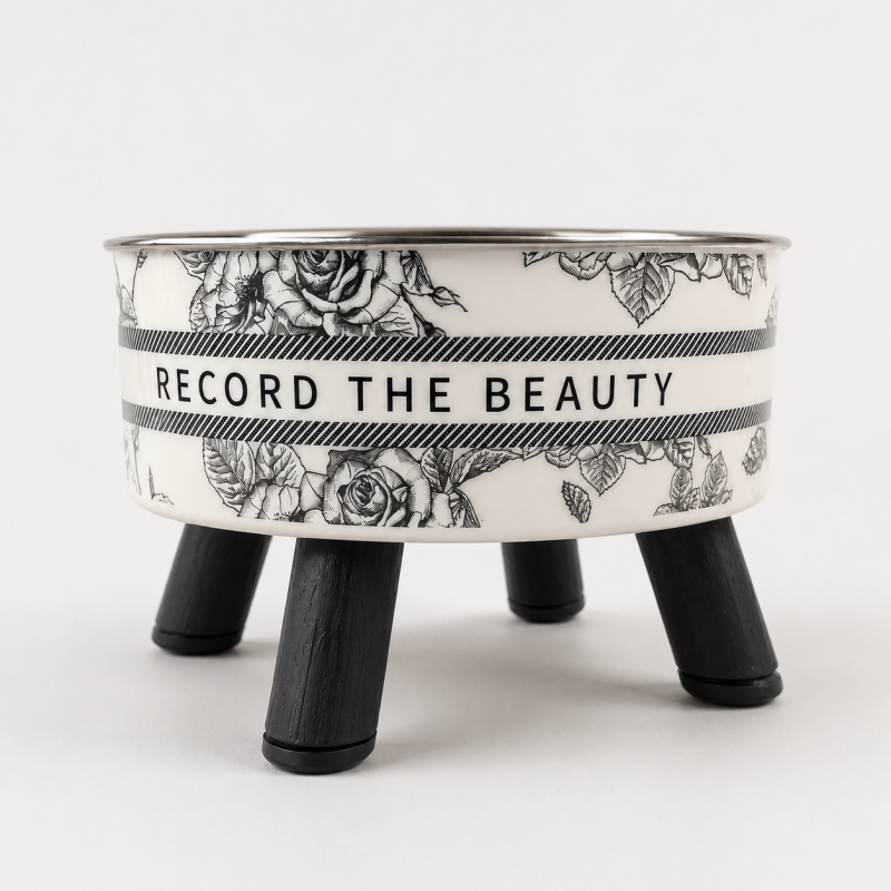 Pakeltas dubenėlis augintiniui „Record The Beauty“, 14 × 9 cm
