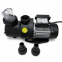 Baseino vandens siurblys Anaterra 0,25 kW, 7 m³/h – su defektu