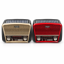 Nešiojamas radijas YUEGAN, AM/FM/SW, Bluetooth, USB/TF, saulės baterija